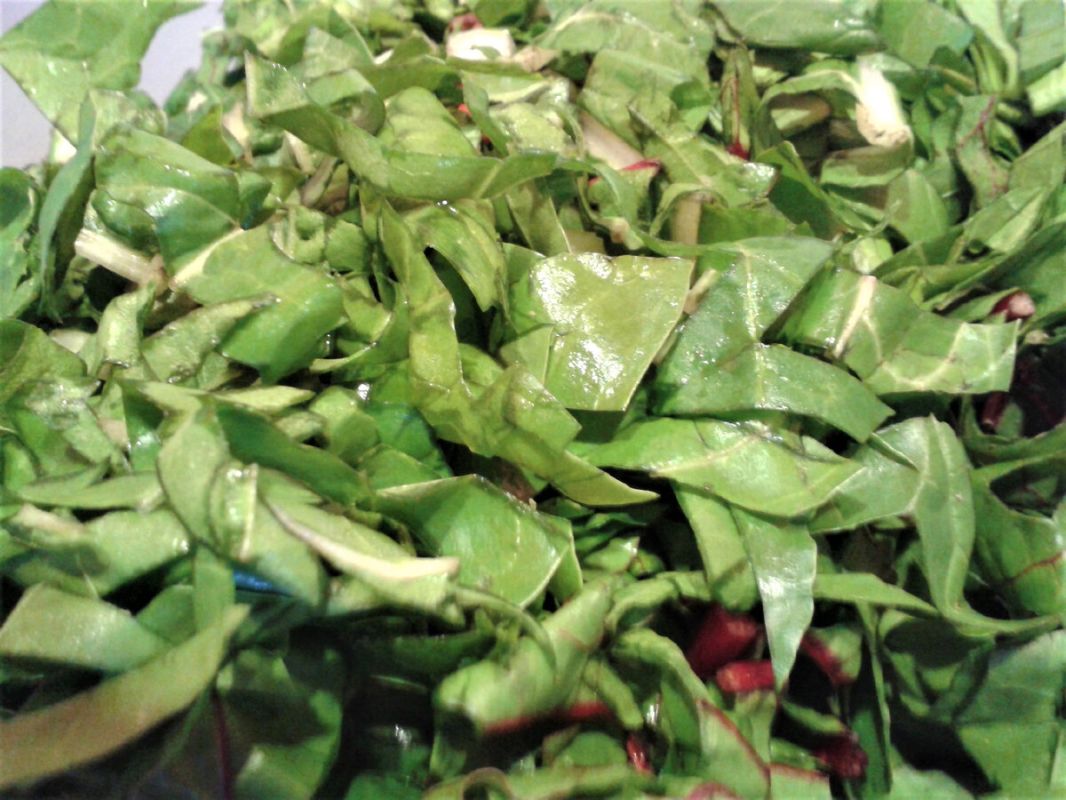 ����� � ����������: ��������� ����� ��� ������ ����