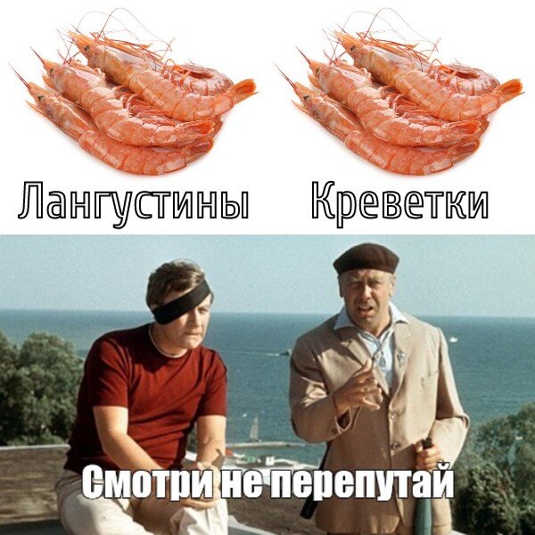 Как не попасться на удочку рыбных мошенников