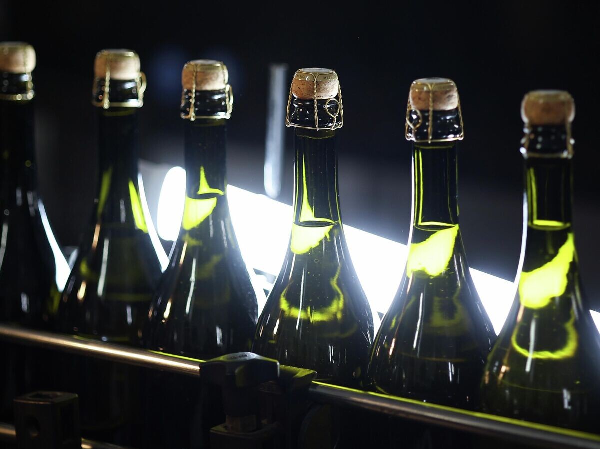 Элегантные пары: идеальные вина для солений и домашних заготовок