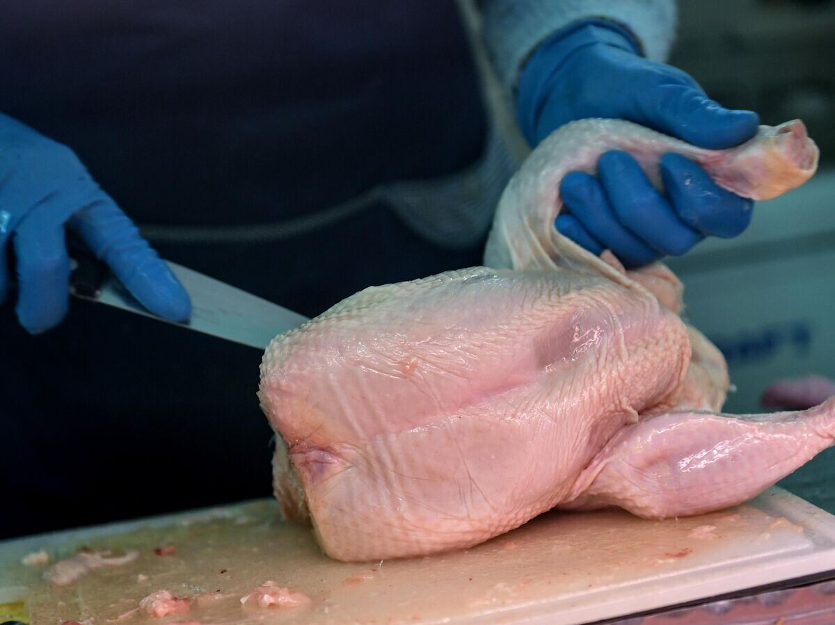 Почему мыть курицу перед приготовлением — не лучшая идея?