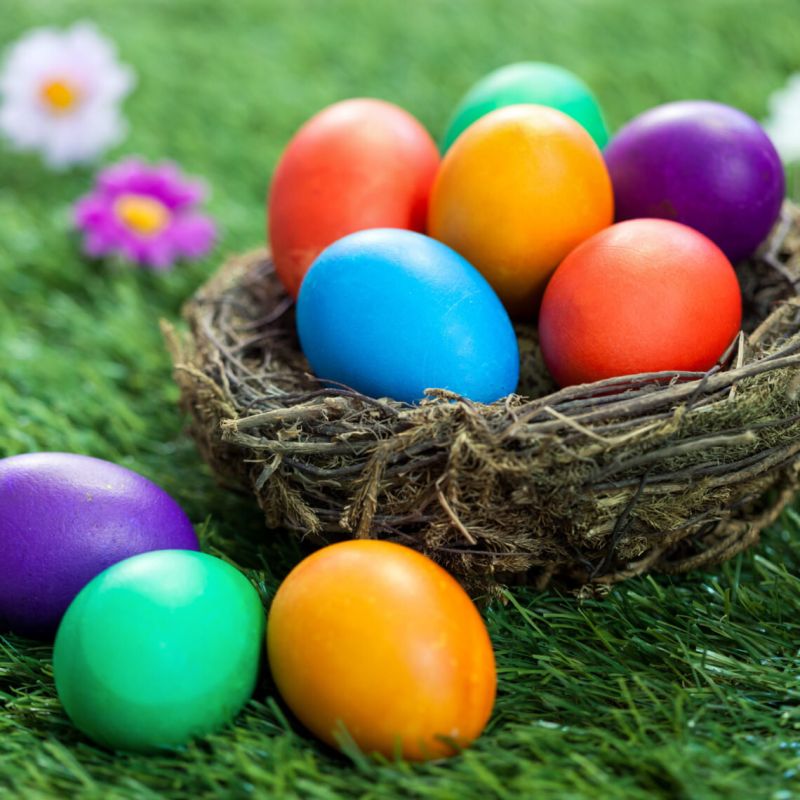 ���������� ����: �������� ��������� � �� ���������� ��������