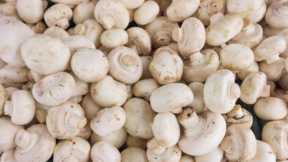 ���������� ����������: ������, ������, ������