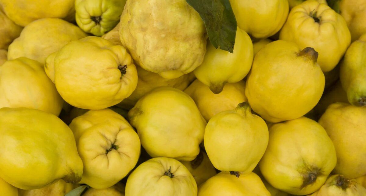 ����: �������� ���������� �����