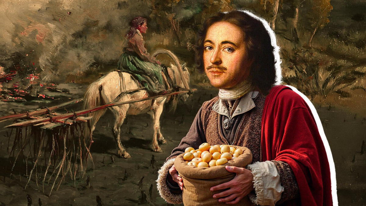 Какое разнообразие продуктов была основой русского стола до картошки