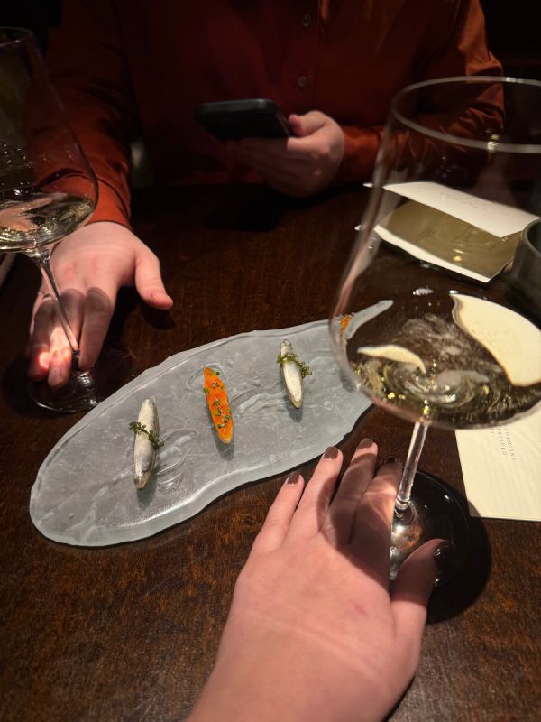 ����������� ��� ���������� �������: BOBO ������������ ����� ��� Signature XV