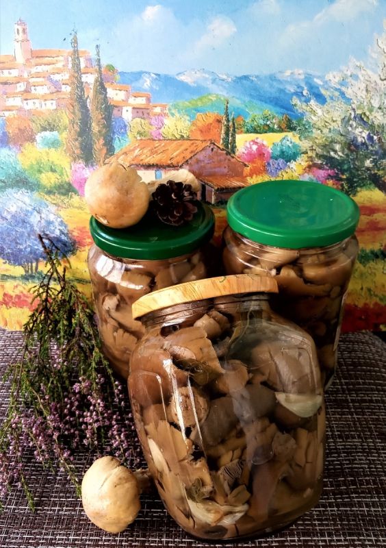 ��� ������ ������������ �����: ������� ������ ��� ������������