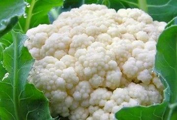 ������ ������ �� ������� �������: ������� � ������� ������� ��� �����