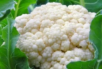 Нежные оладьи из цветной капусты: простое и вкусное решение для ужина