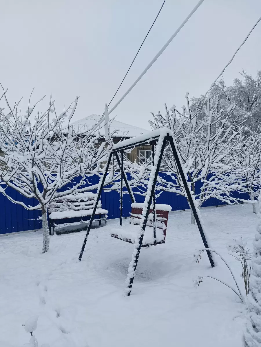 Волшебство новогоднего праздника: как отмечают Новый год в 2026