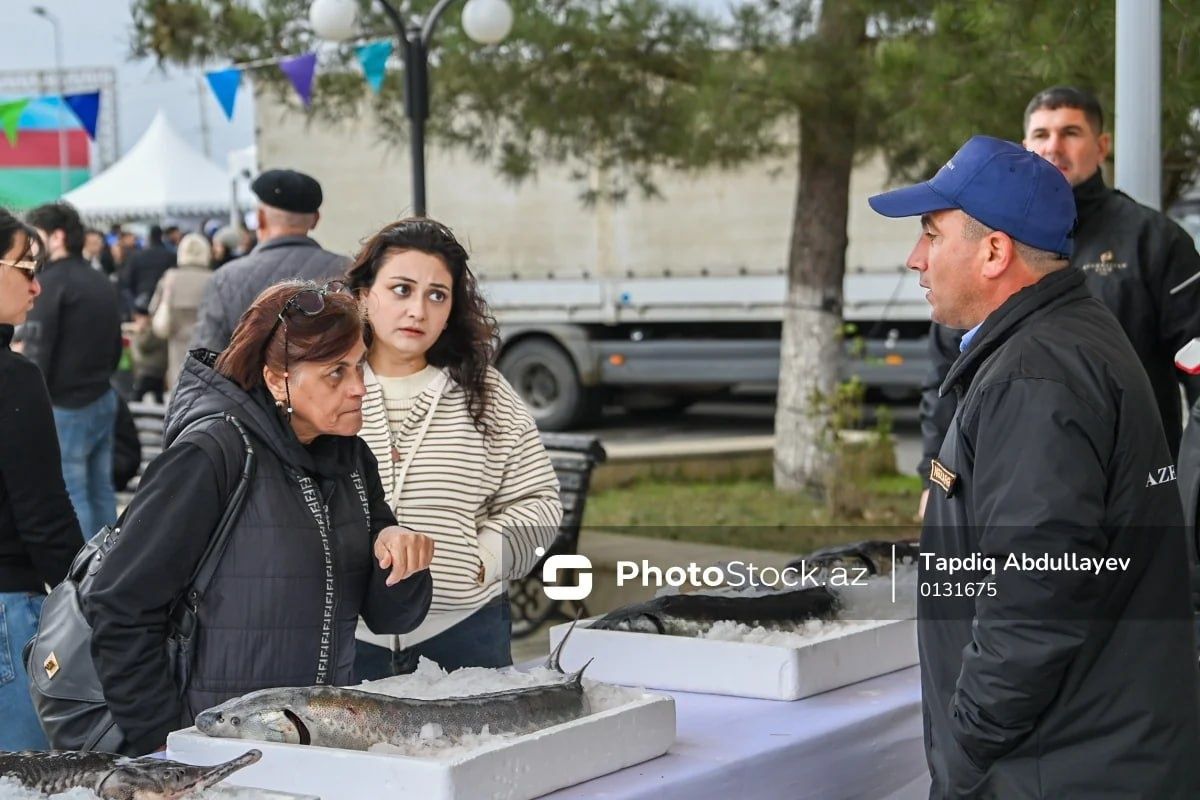 ��� ������� ������ ����: ������������ �����������