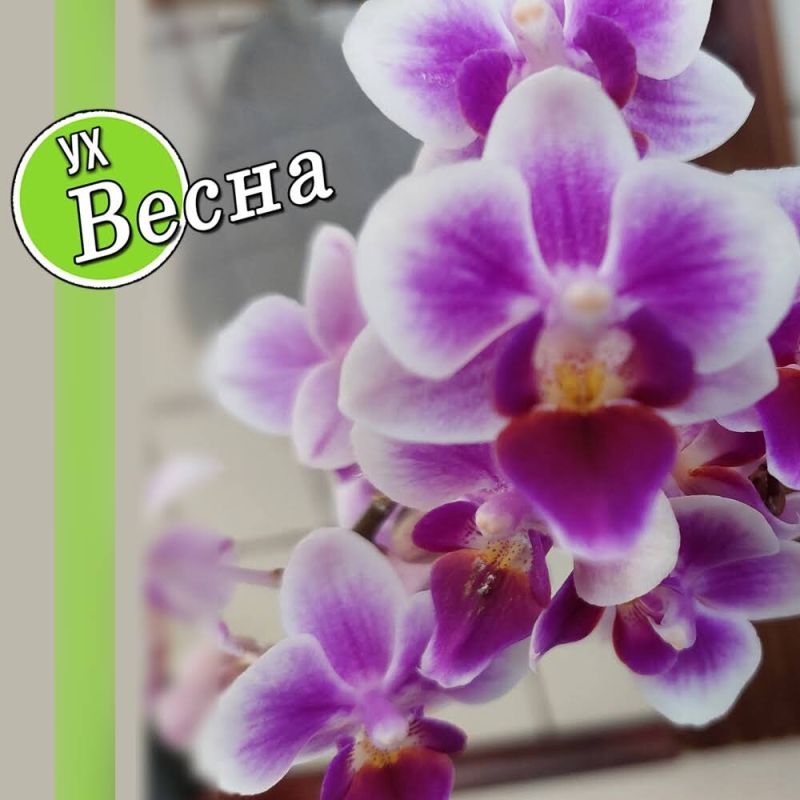 �������� �����������: ��� ��������� ����� � ���������