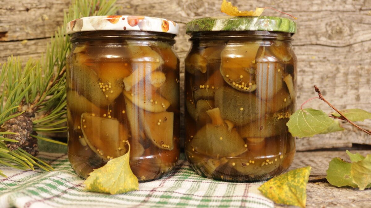 ��� ����������� �������� �� ����: ���������� ������ ��������