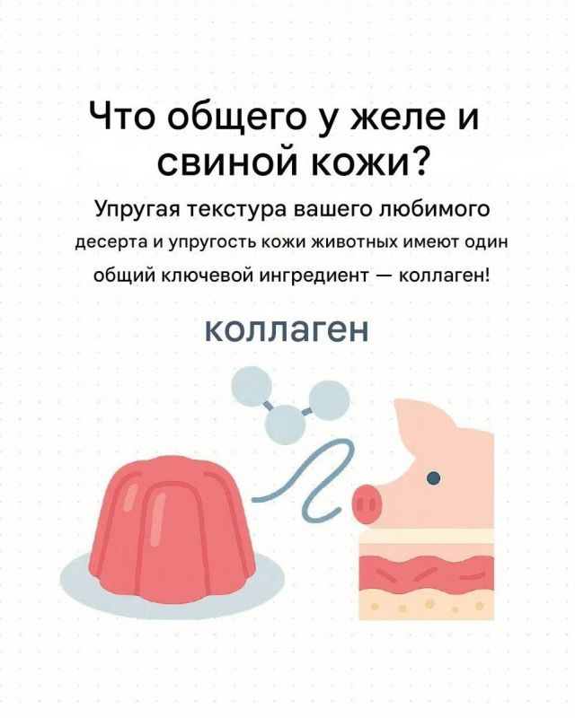 ����������� ����� ����� ���� � ������ �����