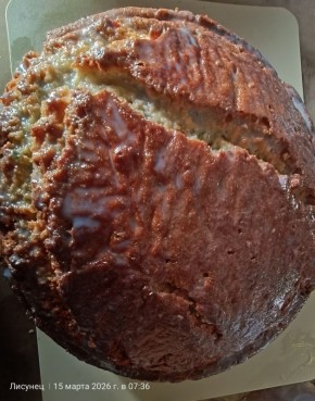 ������ ���������� ������������ �� ��������