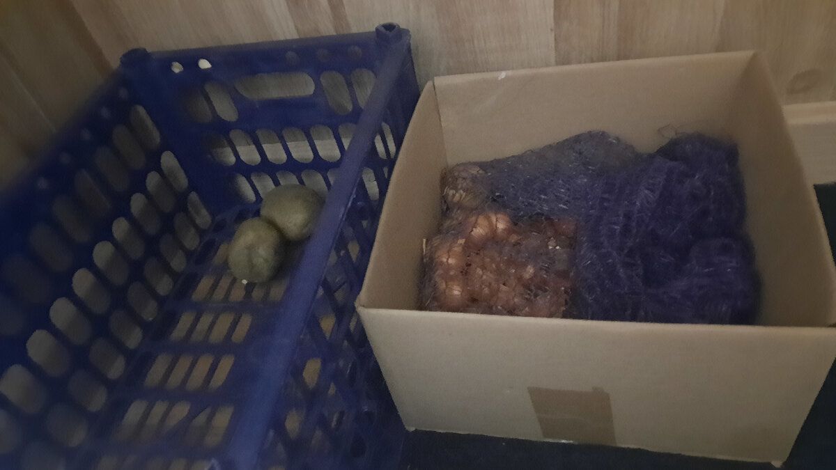 ��� ��������� ������ �� �����: ������� ������ ��� ������� � �����