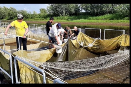 ���������� ���������� ������������ ������� �� �����: ��������� ��� ���������� ���������