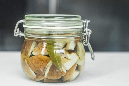 ������������ ����� �����: ������, ������� ������� ������ ��������