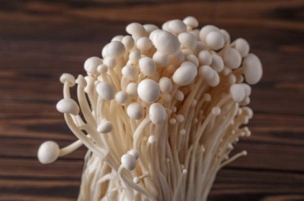 �����: ��������� �������� � �������� ������������� � ���������