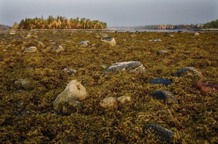 ��������� ��������� ���������: ������� ������������� � ������