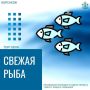 Сегодня в городе: свежая камбала по заманчивой цене!