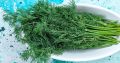 Как правильно заморозить укроп, чтобы сохранить его вкус и аромат