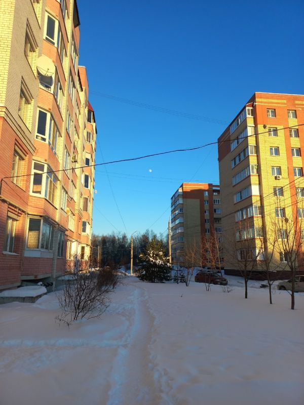 Обзор закупок рыбы: свежие акценты и советы