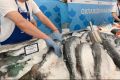 ФАС запускает реформы для справедливых цен на рыбу